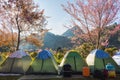 Colorful tents on the mountain