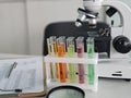 Colorful test tubes arranged in a rack beside a microscope on a lab table during a science experiment concept Royalty Free Stock Photo