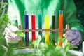 colorful test tubes during experimentation with plants Royalty Free Stock Photo