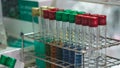 Colorful Test Tubes In Science Laboratory Royalty Free Stock Photo