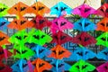 Colorful Thai kites