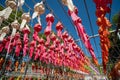 Colorful of Thai Lanna style lanterns for the Yi Peng festival