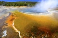 Colorful thermal pool geyser, yellowstone national park, usa