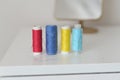 Colorful thread spools are lined up on a white table in a sunny sewing room. Each spool features a different shade, showcasing Royalty Free Stock Photo