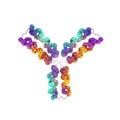 Immune protein molecule isolated on transparent background isolated on transparent background Royalty Free Stock Photo