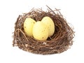 Colorful three eggs in wooden bird nest isolated on the white background Royalty Free Stock Photo