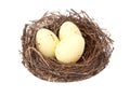 Colorful three eggs in wooden bird nest isolated on the white background Royalty Free Stock Photo
