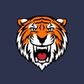 Colorful tiger head logo emblem or icon.