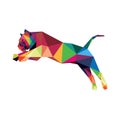 Colorful Tiger Polygonal low poly logo icon