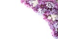 Colorful tiny flowers of Lilac isolated on white background. Floral border. Flat lay