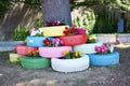 Colorful tires and flowers Royalty Free Stock Photo