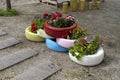 6 colorful tires with flowers in them - shot from an obliquely angle Royalty Free Stock Photo