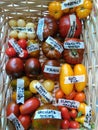 Colorful tomatoes in basket 2