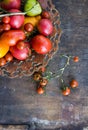 Colorful tomatoes red tomatoes yellow tomatoes orange tomatoes with water drops on the dark concrete background. Space for text se Royalty Free Stock Photo