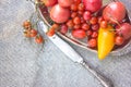 Colorful tomatoes red tomatoes yellow tomatoes orange tomatoes with water drops on the dark concrete background. Space for text se Royalty Free Stock Photo