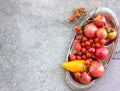 Colorful tomatoes red tomatoes yellow tomatoes orange tomatoes with water drops on the dark concrete background. Space for text se Royalty Free Stock Photo