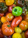 Colorful tomatoes on sale Royalty Free Stock Photo