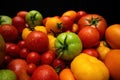 Colorful tomatoes varieties on black. Fresh organic vegetables harvest. Farming,
