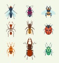 Vector insects icons isolated on background colorful top view illustration of wildlife wing fly insects detail macro Royalty Free Stock Photo