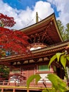 The colorful Toto Pagoda or Eastern Pagoda in the Unesco listed Danjon Garan Shingon buddhism temple complex in Koyasan, Wakayama