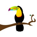 Colorful toucan sitting on a branch