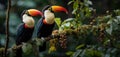 Colorful Toucans Perched on a Lush Green Branch