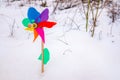Colorful toy pinwheel on the white snow, background with copy space Royalty Free Stock Photo