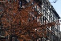 Colorful Tree and a Row of Old Brick Buildings on the Lower East Side of New York City with Fire Escapes Royalty Free Stock Photo