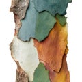 Colorful Tree Bark Texture. Natural Patterns And Organic Design. Isolated On Transparent Background Royalty Free Stock Photo