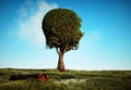 Colorful tree shaped as a human head. Self development and growth concept