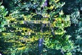 Tree Yellow Green Water Reflection Abstract Habikino Japan