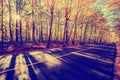 By the Colorful Treed Autumn Road - Vintage Royalty Free Stock Photo