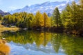 Colorful trees in autumn at Grindjisee Lake, Zermatt, Switzerland Royalty Free Stock Photo