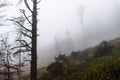 Colorful trees with autumn landscape in mountain with fog, Celadna, Beskids Royalty Free Stock Photo