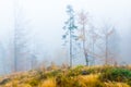 Colorful trees with autumn landscape in mountain with fog, Celadna, Beskids Royalty Free Stock Photo