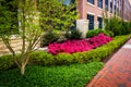 Colorful trees and bushes along a sidewalk in downtown Richmond, Virginia.