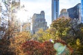 Colorful trees of Central Park in fall with the skyline buildings in New York City Royalty Free Stock Photo