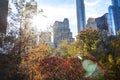 Colorful trees of Central Park in fall with the skyline buildings in the background of New York City Royalty Free Stock Photo