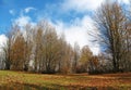 Autumnal forest , Hyrcanian forest Royalty Free Stock Photo