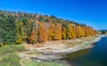 Colorful trees at the lakeside of Lac de la Lauch in the Vosges mountains - Haut-Rhin, France