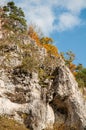 Colorful trees on a limestone cliff in swabian alb