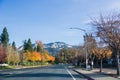 Colorful trees lining up a road through Danville, Mt Diablo summit in the background