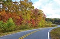 Colorful Trees on the Side of a Curving Mountain Road