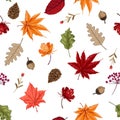 Colorful Trendy scatter seamless pattern vector Autumn elememts Royalty Free Stock Photo