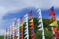 Colorful triangular flags waved in the wind with blue sky and trees in the background Royalty Free Stock Photo