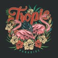 Colorful tropic vintage emblem