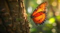 Colorful tropical background. bright orange monarch butterfly on a tree Royalty Free Stock Photo