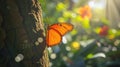 Colorful tropical background. bright orange monarch butterfly on a tree Royalty Free Stock Photo