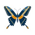 Colorful Tropical Butterfly Moth Icon in Cartoon Royalty Free Stock Photo