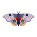 Colorful Tropical Butterfly Moth Icon in Cartoon Royalty Free Stock Photo